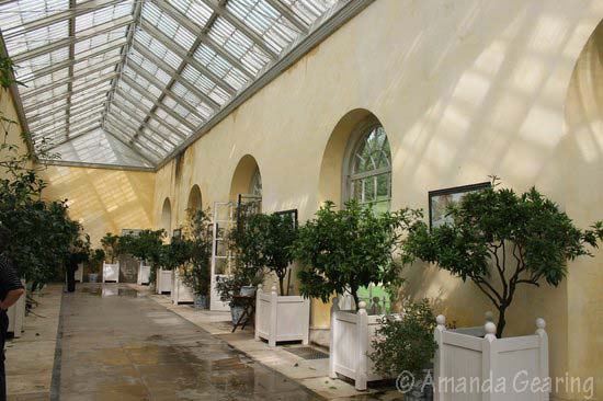 orangery-amanda-g-aug-2012-dyrham-park