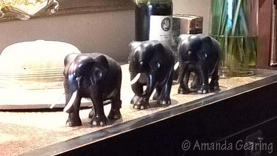 elephant-boy-cafe-elephants-amanda-g-sep-2015