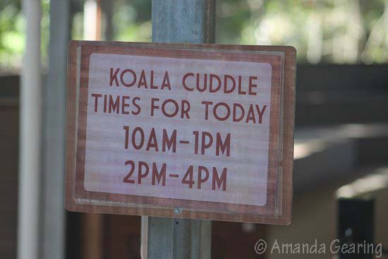 Lone Pine Koala Sanctuary