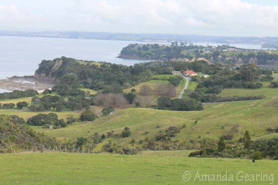 shakespear-regional-park-shakespear-regional-park-amanda-g-jul-2016