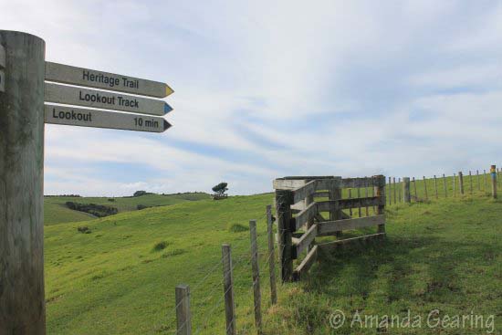 shakespear-regional-park-shakespear-regional-park-amanda-g-jul-20163